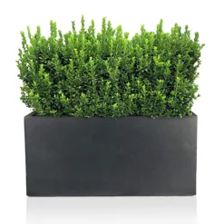 IDEALIST Contemporary Faux Lead Dark Grey Concrete Trough Planter H30 L60 W30 Cm, 54L