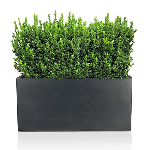 IDEALIST Contemporary Faux Lead Dark Grey Concrete Trough Planter H30 L60 W30 Cm, 54L 1 IDEALIST Contemporary Faux Lead Dark Grey Concrete Trough Planter H30 L60 W30 Cm, 54L