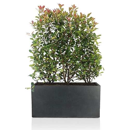 IDEALIST Contemporary Faux Lead Dark Grey Concrete Trough Planter H30 L60 W30 Cm, 54L 2 IDEALIST Contemporary Faux Lead Dark Grey Concrete Trough Planter H30 L60 W30 Cm, 54L - Image 2