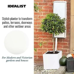 IDEALIST Contemporary Flower Box Square Garden Planter, White Light Concrete Outdoor Large Plant Pot H50 L50 W50 Cm, 126L -Outsunny Garden Zone idealist contemporary flower box square garden planter white light concrete outdoor large plant pot h50 l50 w50 cm 126l5000124502119 04c MP
