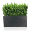 IDEALIST Contemporary Trough Garden Planter, Faux Lead Dark Grey Concrete Light Outdoor Plant Pot H20.5 L50 W20 Cm, 21L