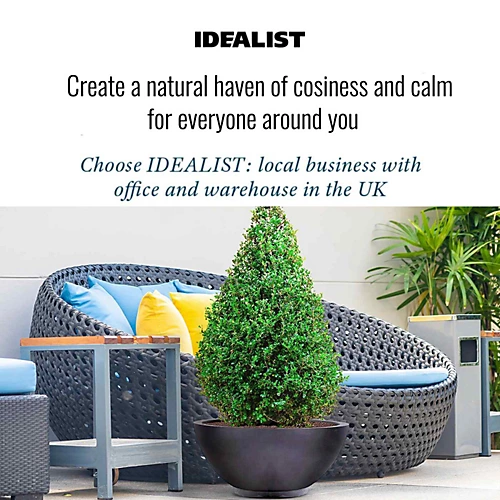 IDEALIST Dish Style Smooth Black Garden Bowl Planter, Outdoor Plant Pot D45 H20 Cm, 32L 4 IDEALIST Dish Style Smooth Black Garden Bowl Planter, Outdoor Plant Pot D45 H20 Cm, 32L - Image 4