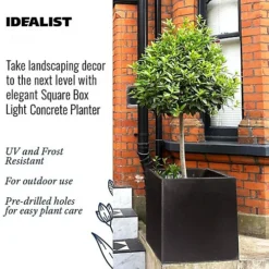IDEALIST Flower Box Square Garden Planter, Black Light Concrete Outdoor Large Plant Pot H50 L50 W50 Cm, 126L 6 IDEALIST Flower Box Square Garden Planter, Black Light Concrete Outdoor Large Plant Pot H50 L50 W50 Cm, 126L -Outsunny Garden Zone idealist flower box square garden planter black light concrete outdoor large plant pot h50 l50 w50 cm 126l5000124401566 03c MP