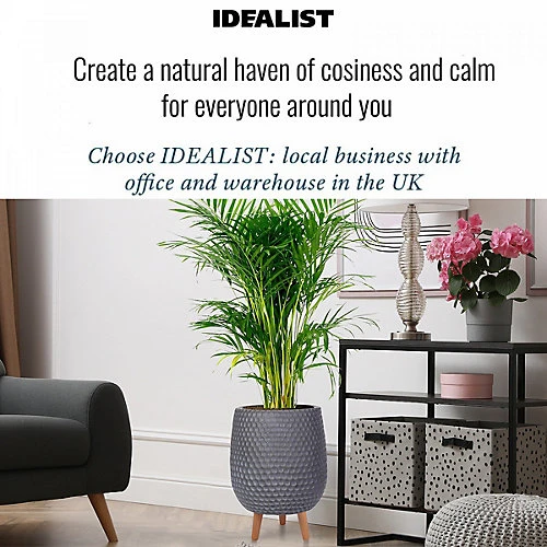 IDEALIST Honeycomb Style Dark Grey Egg Planter With Legs, Round Indoor Plant Pot Stand For Indoor Plants D32 H43 Cm, 22L 4 IDEALIST Honeycomb Style Dark Grey Egg Planter With Legs, Round Indoor Plant Pot Stand For Indoor Plants D32 H43 Cm, 22L - Image 4