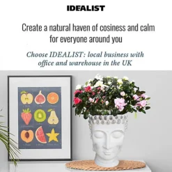 IDEALIST White Face Head Buddha Face Planter Table, Oval Indoor Head Plant Pot For Indoor Plants L19 W18 H24 Cm, 2.6L 7 IDEALIST White Face Head Buddha Face Planter Table, Oval Indoor Head Plant Pot For Indoor Plants L19 W18 H24 Cm, 2.6L -Outsunny Garden Zone idealist white face head buddha face planter table oval indoor head plant pot for indoor plants l19 w18 h24 cm 2 6l5060874792543 06c MP