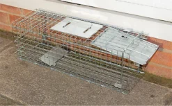 Indoor Outdoor Collapsible Live Animal Humane Trap For Pests Rabbits, Squirrels 6 Indoor Outdoor Collapsible Live Animal Humane Trap For Pests Rabbits, Squirrels -Outsunny Garden Zone indoor outdoor collapsible live animal humane trap for pests rabbits squirrels5021196814443 03c MP