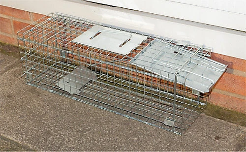 Indoor Outdoor Collapsible Live Animal Humane Trap For Pests Rabbits, Squirrels 3 Indoor Outdoor Collapsible Live Animal Humane Trap For Pests Rabbits, Squirrels - Image 3