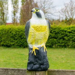 KCT Decoy Hawk Bird Of Prey Scarer Outdoor Garden Deterrent Ornament 7 KCT Decoy Hawk Bird Of Prey Scarer Outdoor Garden Deterrent Ornament -Outsunny Garden Zone kct decoy hawk bird of prey scarer outdoor garden deterrent ornament5060502539274 04c MP