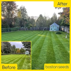 KissMyGrass Autumn & Winter Lawn Fertiliser 6.5.10 + Fe + Mg (1 X 20kg)