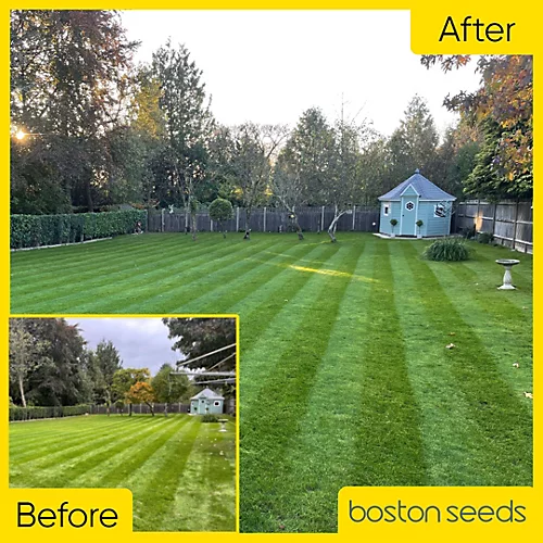 KissMyGrass Autumn & Winter Lawn Fertiliser 6.5.10 + Fe + Mg (1 X 20kg) 1 KissMyGrass Autumn & Winter Lawn Fertiliser 6.5.10 + Fe + Mg (1 X 20kg)