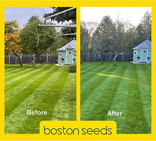 KissMyGrass Autumn & Winter Lawn Fertiliser 6.5.10 + Fe + Mg (5 X 20kg) 1 KissMyGrass Autumn & Winter Lawn Fertiliser 6.5.10 + Fe + Mg (5 X 20kg)