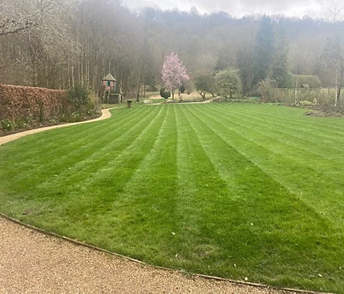 KissMyGrass Autumn & Winter Lawn Fertiliser 6.5.10 + Fe + Mg (5 X 20kg) 3 KissMyGrass Autumn & Winter Lawn Fertiliser 6.5.10 + Fe + Mg (5 X 20kg) - Image 3