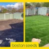 KissMyGrass Pre-seeding Lawn And Sportsfield Fertiliser 6.9.6 (1 X 20kg)