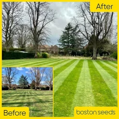 KissMyGrass Spring & Summer Lawn And Sportsfield Fertiliser 11.5.5 (1 X 5kg)