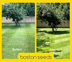 KissMyGrass Spring & Summer Lawn And Sportsfield Fertiliser 11.5.5 (5 X 20kg)