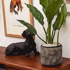 LAVA-LITE No Gnats Natural Gnat Deterrent, 3 Litres -Outsunny Garden Zone lava lite no gnats natural gnat deterrent 3 litres0652217192117 03c MP