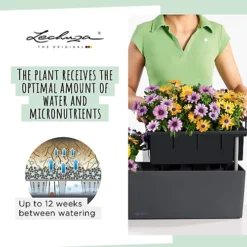 LECHUZA BALCONERA Color 50 Slate Window Box Self-watering Planter With Substrate And Water Level Indicator H19 L50 W19 Cm, 8L -Outsunny Garden Zone lechuza balconera color 50 slate window box self watering planter with substrate and water level indicator h19 l50 w19 cm 8l4008789156730 03c MP