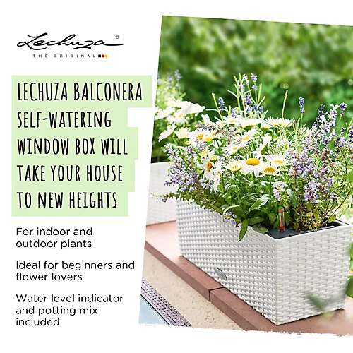 LECHUZA BALCONERA Cottage 80 Light Grey Self-watering Planter With Substrate And Water Level Indicator H19 L80 W19 Cm, 12L 2 LECHUZA BALCONERA Cottage 80 Light Grey Self-watering Planter With Substrate And Water Level Indicator H19 L80 W19 Cm, 12L - Image 2