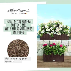 LECHUZA BALCONERA Cottage 80 Light Grey Self-watering Planter With Substrate And Water Level Indicator H19 L80 W19 Cm, 12L 7 LECHUZA BALCONERA Cottage 80 Light Grey Self-watering Planter With Substrate And Water Level Indicator H19 L80 W19 Cm, 12L -Outsunny Garden Zone lechuza balconera cottage 80 light grey self watering planter with substrate and water level indicator h19 l80 w19 cm 12l4008789154576 04c MP