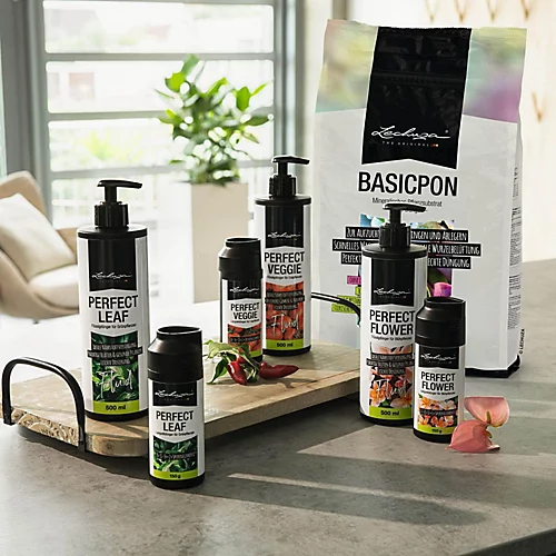 LECHUZA BASICPON Peat-Free Houseplant Potting Mix For Indoor Plants Fertilizer-free Potting Compost 12 Liter 2 LECHUZA BASICPON Peat-Free Houseplant Potting Mix For Indoor Plants Fertilizer-free Potting Compost 12 Liter - Image 2