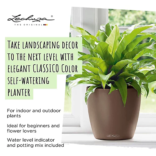 LECHUZA CLASSICO Color 18 White Table Self-watering Planter With Substrate And Water Level Indicator D19 H17 Cm, 2.5L 2 LECHUZA CLASSICO Color 18 White Table Self-watering Planter With Substrate And Water Level Indicator D19 H17 Cm, 2.5L - Image 2
