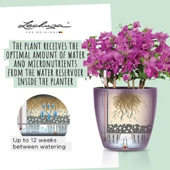 LECHUZA CLASSICO Color 18 White Table Self-watering Planter With Substrate And Water Level Indicator D19 H17 Cm, 2.5L 6 LECHUZA CLASSICO Color 18 White Table Self-watering Planter With Substrate And Water Level Indicator D19 H17 Cm, 2.5L -Outsunny Garden Zone lechuza classico color 18 white table self watering planter with substrate and water level indicator d19 h17 cm 2 5l4008789132611 03c MP