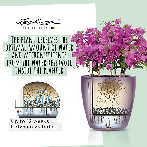 LECHUZA CLASSICO Color 18 White Table Self-watering Planter With Substrate And Water Level Indicator D19 H17 Cm, 2.5L 3 LECHUZA CLASSICO Color 18 White Table Self-watering Planter With Substrate And Water Level Indicator D19 H17 Cm, 2.5L - Image 3