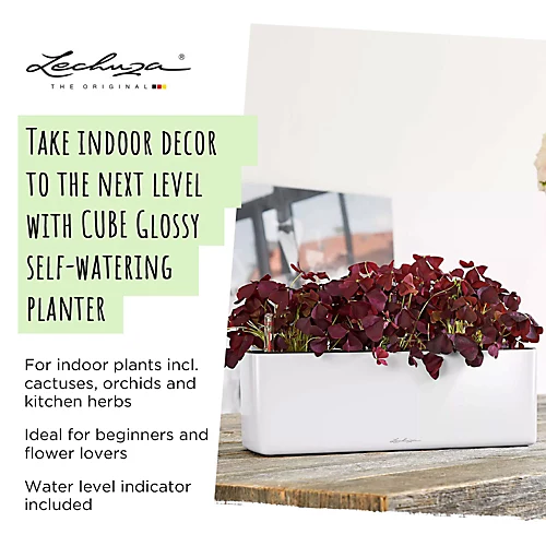 LECHUZA CUBE Glossy Triple White High-Gloss Hanging Self-watering Planter With Water Level Indicator H14 L40 W14 Cm, 5L 2 LECHUZA CUBE Glossy Triple White High-Gloss Hanging Self-watering Planter With Water Level Indicator H14 L40 W14 Cm, 5L - Image 2