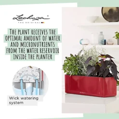 LECHUZA CUBE Glossy Triple White High-Gloss Hanging Self-watering Planter With Water Level Indicator H14 L40 W14 Cm, 5L 6 LECHUZA CUBE Glossy Triple White High-Gloss Hanging Self-watering Planter With Water Level Indicator H14 L40 W14 Cm, 5L -Outsunny Garden Zone lechuza cube glossy triple white high gloss hanging self watering planter with water level indicator h14 l40 w14 cm 5l4008789136701 03c MP