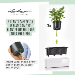 LECHUZA CUBE Glossy Triple White High-Gloss Hanging Self-watering Planter With Water Level Indicator H14 L40 W14 Cm, 5L 7 LECHUZA CUBE Glossy Triple White High-Gloss Hanging Self-watering Planter With Water Level Indicator H14 L40 W14 Cm, 5L -Outsunny Garden Zone lechuza cube glossy triple white high gloss hanging self watering planter with water level indicator h14 l40 w14 cm 5l4008789136701 04c MP