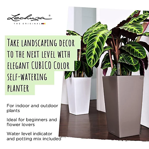 LECHUZA CUBICO Color 30 Sand Brown Floor Self-watering Planter With Substrate And Water Level Indicator H56 L30 W30 Cm, 14L 2 LECHUZA CUBICO Color 30 Sand Brown Floor Self-watering Planter With Substrate And Water Level Indicator H56 L30 W30 Cm, 14L - Image 2