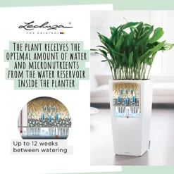 LECHUZA CUBICO Color 30 Sand Brown Floor Self-watering Planter With Substrate And Water Level Indicator H56 L30 W30 Cm, 14L 6 LECHUZA CUBICO Color 30 Sand Brown Floor Self-watering Planter With Substrate And Water Level Indicator H56 L30 W30 Cm, 14L -Outsunny Garden Zone lechuza cubico color 30 sand brown floor self watering planter with substrate and water level indicator h56 l30 w30 cm 14l4008789132888 03c MP