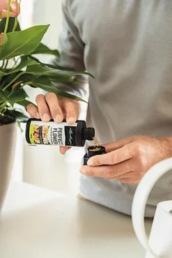 LECHUZA Long-acting Fertiliser Perfect Veggie, 150g 6 LECHUZA Long-acting Fertiliser Perfect Veggie, 150g -Outsunny Garden Zone lechuza long acting fertiliser perfect veggie 150g4008789196224 03c MP