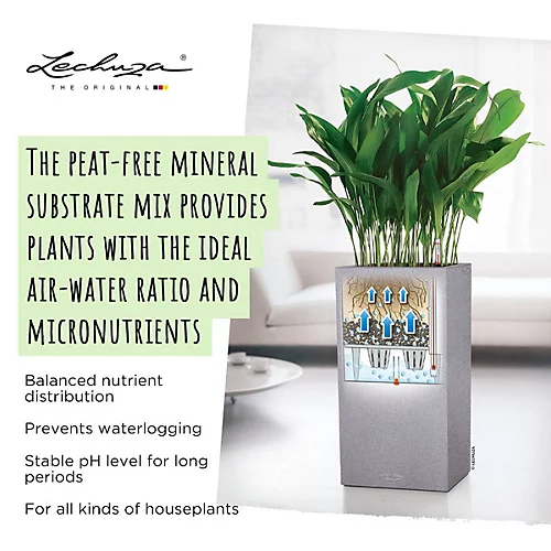 LECHUZA PON Peat-Free Houseplant Potting Mix For Indoor Plants Potting Compost For Plants Indoors 6 Liter 2 LECHUZA PON Peat-Free Houseplant Potting Mix For Indoor Plants Potting Compost For Plants Indoors 6 Liter - Image 2