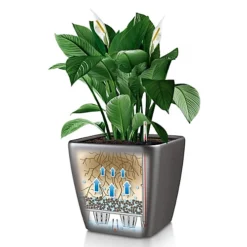 LECHUZA QUADRO LS 50 Black High-Gloss Self-watering Planter With Substrate And Water Level Indicator H47 L50 W50 Cm, 118L 6 LECHUZA QUADRO LS 50 Black High-Gloss Self-watering Planter With Substrate And Water Level Indicator H47 L50 W50 Cm, 118L -Outsunny Garden Zone lechuza quadro ls 50 black high gloss self watering planter with substrate and water level indicator h47 l50 w50 cm 118l4008789162892 03c MP