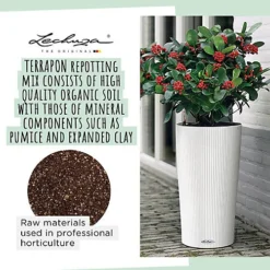 LECHUZA TERRAPON Peat-Free Soil For Outdoor Plants Organic Perlite Potting Compost For Indoor Plants 12 Liter -Outsunny Garden Zone lechuza terrapon peat free soil for outdoor plants organic perlite potting compost for indoor plants 12 liter4008789195722 03c MP