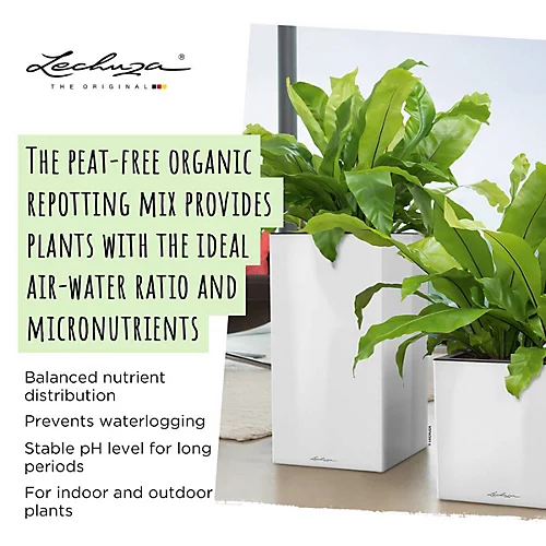 LECHUZA TERRAPON Peat-Free Soil For Outdoor Plants Organic Perlite Potting Compost For Indoor Plants 6 Liter 2 LECHUZA TERRAPON Peat-Free Soil For Outdoor Plants Organic Perlite Potting Compost For Indoor Plants 6 Liter - Image 2