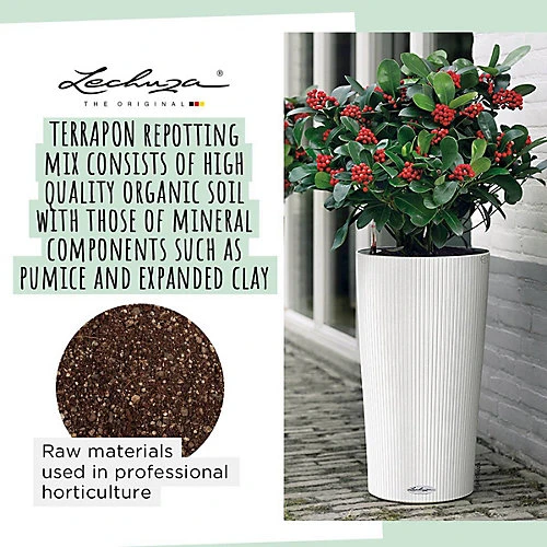 LECHUZA TERRAPON Peat-Free Soil For Outdoor Plants Organic Perlite Potting Compost For Indoor Plants 6 Liter 3 LECHUZA TERRAPON Peat-Free Soil For Outdoor Plants Organic Perlite Potting Compost For Indoor Plants 6 Liter - Image 3