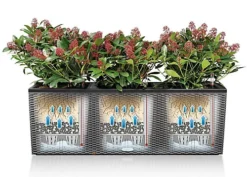 LECHUZA TRIO Cottage 40 Granite Self-watering Planter Plant Pot With Water Level Indicator H44 L130 W42 Cm, 3x31L 6 LECHUZA TRIO Cottage 40 Granite Self-watering Planter Plant Pot With Water Level Indicator H44 L130 W42 Cm, 3x31L -Outsunny Garden Zone lechuza trio cottage 40 granite self watering planter plant pot with water level indicator h44 l130 w42 cm 3x31l4008789150233 03c MP