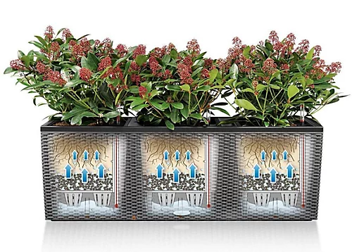 LECHUZA TRIO Cottage 40 Granite Self-watering Planter Plant Pot With Water Level Indicator H44 L130 W42 Cm, 3x31L 3 LECHUZA TRIO Cottage 40 Granite Self-watering Planter Plant Pot With Water Level Indicator H44 L130 W42 Cm, 3x31L - Image 3