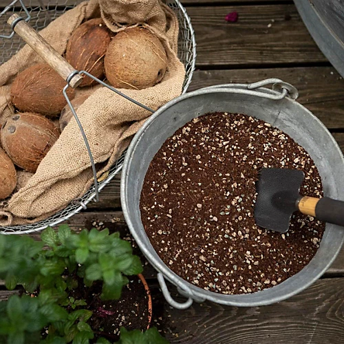 LECHUZA VEGGIEPON Organic Peat-Free Potting Compost For Vegetables Growing 12 Liter 4 LECHUZA VEGGIEPON Organic Peat-Free Potting Compost For Vegetables Growing 12 Liter - Image 4