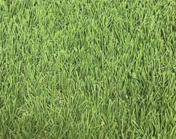 Linden Medium Density Artificial Grass (L)4m (W)2m (T)32mm -Outsunny Garden Zone linden medium density artificial grass l 4m w 2m t 32mm3663602425236 36c