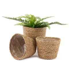 LIVIVO 3 Medium Seagrass Handwoven Belly Flower Plant Pots - Natural Indoor Woven Planter Pot - Great For Office & Home Decoration