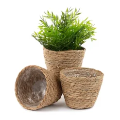 LIVIVO 3 Small Seagrass Handwoven Belly Flower Plant Pots - Natural Indoor Woven Planter Pot - Great For Office & Home Decoration