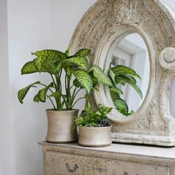 Luxe Bowl White Gold H14CM D24CM -Outsunny Garden Zone luxe bowl white gold h14cm d24cm5055352858118 03c MP