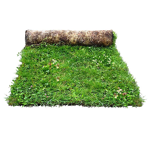 Meadowmat Wildflower Turf, 20m² Pack 1 Meadowmat Wildflower Turf, 20m² Pack