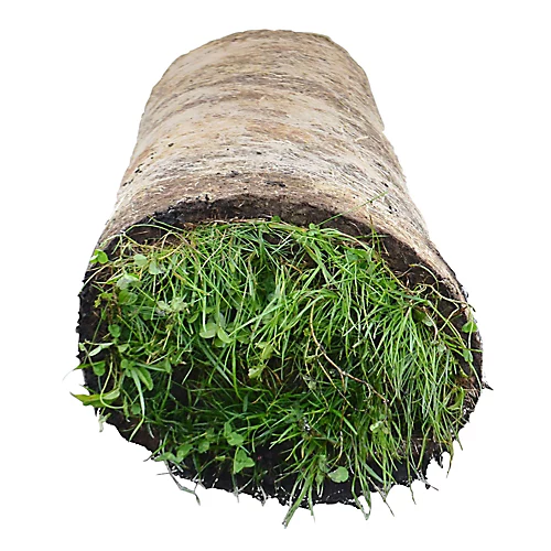 Meadowmat Wildflower Turf, 20m² Pack 2 Meadowmat Wildflower Turf, 20m² Pack - Image 2