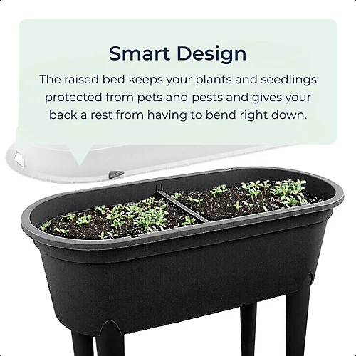 Mini Raised Propagator Greenhouse Outdoor Herb Garden Dark Grey 2 Mini Raised Propagator Greenhouse Outdoor Herb Garden Dark Grey - Image 2