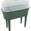 Mini Raised Propagator Greenhouse Outdoor Herb Garden Green