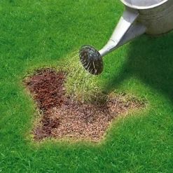 Miracle-Gro Patch Magic Lawn Repair 13m² 1kg -Outsunny Garden Zone miracle gro patch magic lawn repair 13m 1kg5010272090567 02i bq